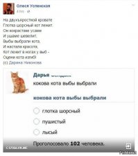Смешные комментарии из соцсетей