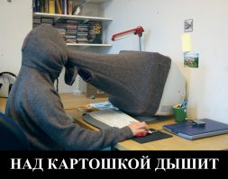 25 весёлых фотографий, которые показывают как выглядит «полное погружение»