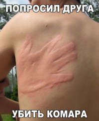 Фото, которые гарантированно поднимут вам настроение