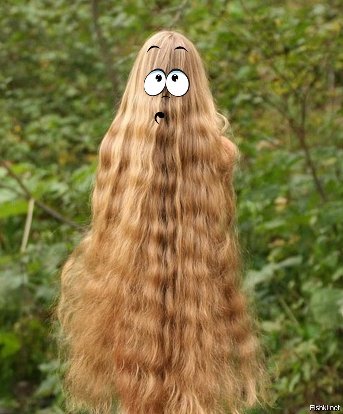 Из солянки от 16.02.2016