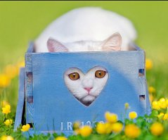 С праздником!