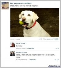  Смешные комментарии из социальных сетей 15.02.16