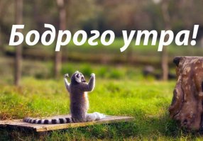 Доброе утро, клавиатура! Хочешь кофе?