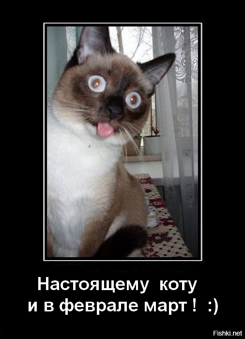 ну и где эта весна