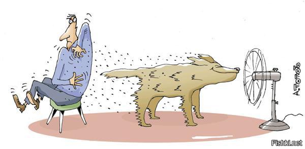 Из солянки от 16.02.2016