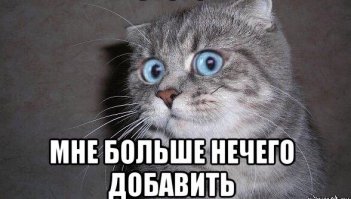 Женская сумочка, в которой удобно переносить кошку