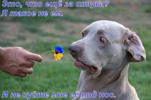 Можешь лучше, тогда подпиши сам.