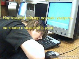 Тяжела и неказиста жизнь ТЫЖпрограммиста!