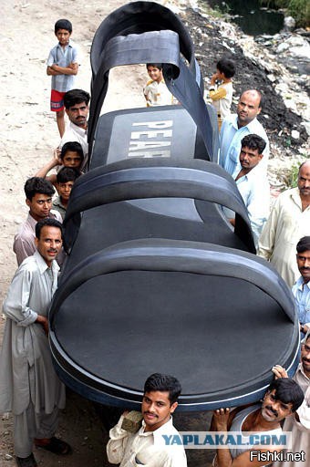 Щас мы его тапком...