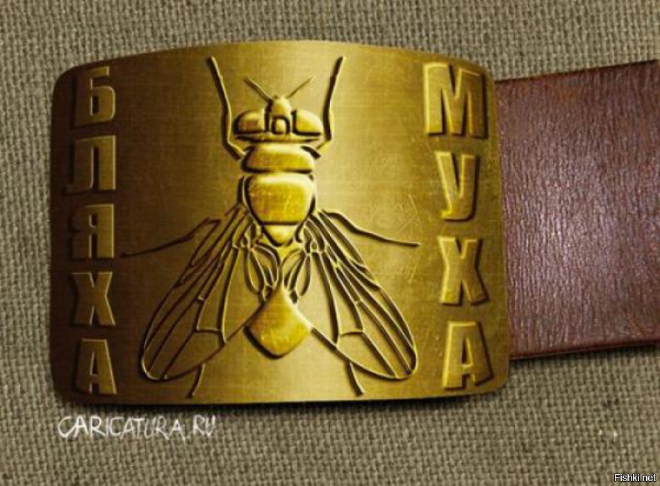 Из солянки от 16.02.2016