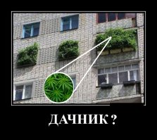 Фото, которые гарантированно поднимут вам настроение