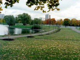 Фанаты поймут :)