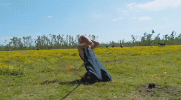 уркаина 2016год