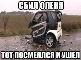 Очередная подборка автоприколов
