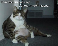 Пофиг во всех своих проявлениях