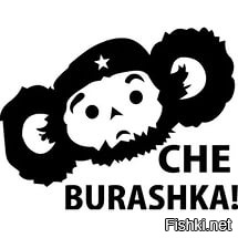 Из солянки от 16.02.2016