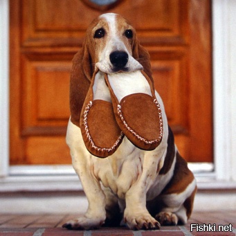 и брюки тоже так же!