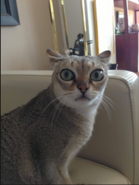 ну что то в этом есть хотя должно быть вот такое выражение лица