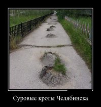 На самом деле это был один крот, но его зверски пучило!