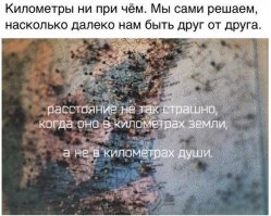 ...Хм...И почему это я ещё не видел этот пост?...подожди Милая.
Значит так: Одиночество - качество сильных! Согласен! -
- Но забудь об этом даже думать, детка - что ты одинока! -
- Порой, в тяжких раздумьях, погружаясь в воспоминания, можно взгрустнуть, и прочувствовать это самое - одиночество...
...но это лишь психологическое внушение и самообман!
На самом деле это - позитивное состояние (уединённость)...
ведь ты не изолированна от мира и у тебя развит сильный навык общения, ты свободна как НОЧНАЯ КОШЕЧКА, которая может делать -
- всё что душа пожелает и свободный полёт мыслей.
Конечно немаловажную роль играет, живое общение и потребность что бы близкий (любимый человек) был рядом, будет нас преследовать всегда и ни оставит нас. Но опять-же...
Мы сами кузнецы своего счастья, как захотим, так и будет!
Я уверен : ты строишь из себя сильную и независимую днём...
а с наступлением ночи, уткнувшись в подушку, грустишь...может быть о несбывшемся, и мечты твои о ком-то далёком и родном, 
что бы всегда засыпать и просыпаться вместе с ним и что бы он дарил тебе тепло, заботу и ласку...любить и быть любимой! 
А пока, ты должна быть сильной и находить плюсы в том что пока ты одна. Как ты воспримешь это, так и будет!
Человеку со здоровыми психикой и рассудком свободное одиночество должно служить для изменения себя в лучшую сторону,
для самосовершенствования и работы над собой. Хотя я знаю, ты так и делаешь, заучиваешь словарик - это очень хорошо, сам куплю и буду учить. Высаживай цветочки, облагораживай мир вокруг себя, в общем, создай для себя свой маленький рай, и жизнь, засияет - новыми красками.
Как мы знаем - наши мысли материальны, и не важно какое расстояние между нами, я тебя хорошо чувствую, твоё настроение, переживания, радость и примерно представляю о чём ты думаешь.
Один только этот твой пост, мне уже многое рассказал.
Так что солнце, ты совсем не одинока во вселенной, знай это!
Я тебя как поддерживал с первого дня, так и буду поддерживать, ну если ты конечно...  сама этого захочешь ;) 
И...кажется я догадываюсь какое событие представляет 1-е Марта в твоей жизни...ась?...я угадал? - Гадина ты моя далёкая, лучшая в мире...Шампусик будем пить?...и Муррр... Не грусти! ;)
