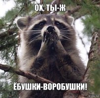 Неудавшийся шашечник