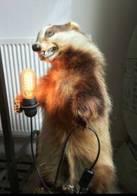 настало время <span style='color:gray'>[мат]</span> историй)))