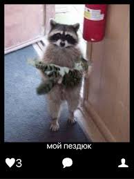 Новорожденные щенки и их гордые родители