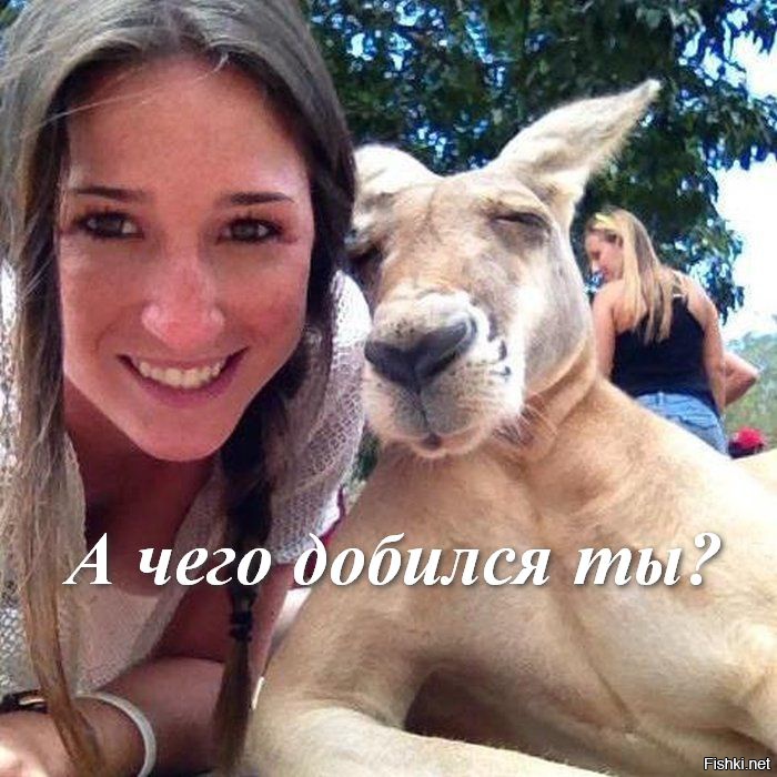 Парень, зацени бицуху