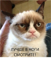 5 видов медитации, для которых не обязательно неподвижно сидеть на месте