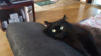 С моим бы не проканало! Вот фиг кто догадается, а он оливки с анчоусом обожает))))))))