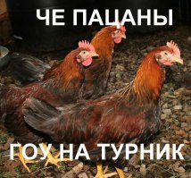 20 забавных случаев в тренажерном зале