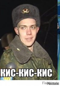 Хитрая мысль, которая понравилась и коту, и мне