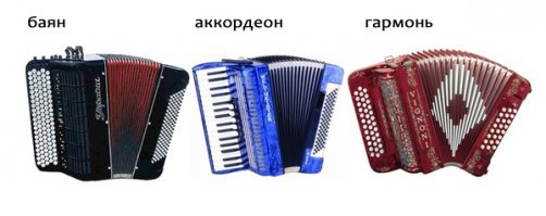 Настоящие профессионалы своего дела!(1 фото+видео)