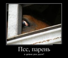 Цыганка в шоке 