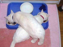 Фотоподборка за 17.02.2016