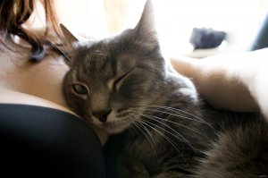 а ты думала почему все мужики их так любят