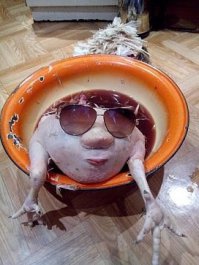 Фотоподборка за 17.02.2016