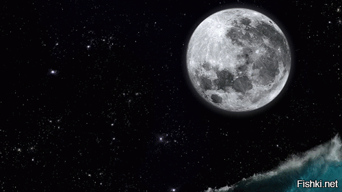 Из солянки от 17.02.2016