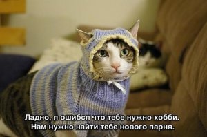 Фото, которые гарантированно поднимут вам настроение