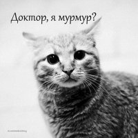 Фото, которые гарантированно поднимут вам настроение