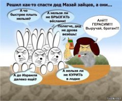 Фото, которые гарантированно поднимут вам настроение