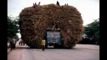 Фото1: самая легкая работа для грузчика. В надувном баллоне - краденый газ.
Все следующие фото: грузчики проявляют творческий подход во всем мире.