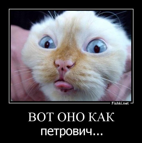 Как проходит совещание на работе