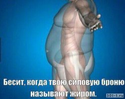 Отчего растет живот?