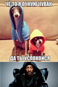 ахах, тоже угарнул =D