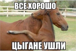 Экскурсия по цыганскому району украинского городка Берегово