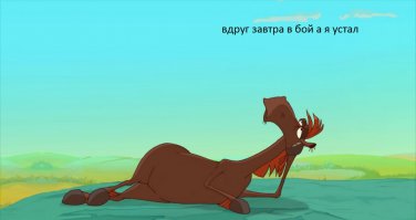 Переноска тактических собак в израильской армии