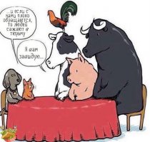 Вдохновляющие видеоистории спасения животных людьми с большим сердцем (1 фото+видео)