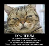 Пофиг во всех своих проявлениях