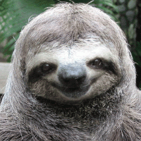 За что ученые так смешно обозвали этих животных?